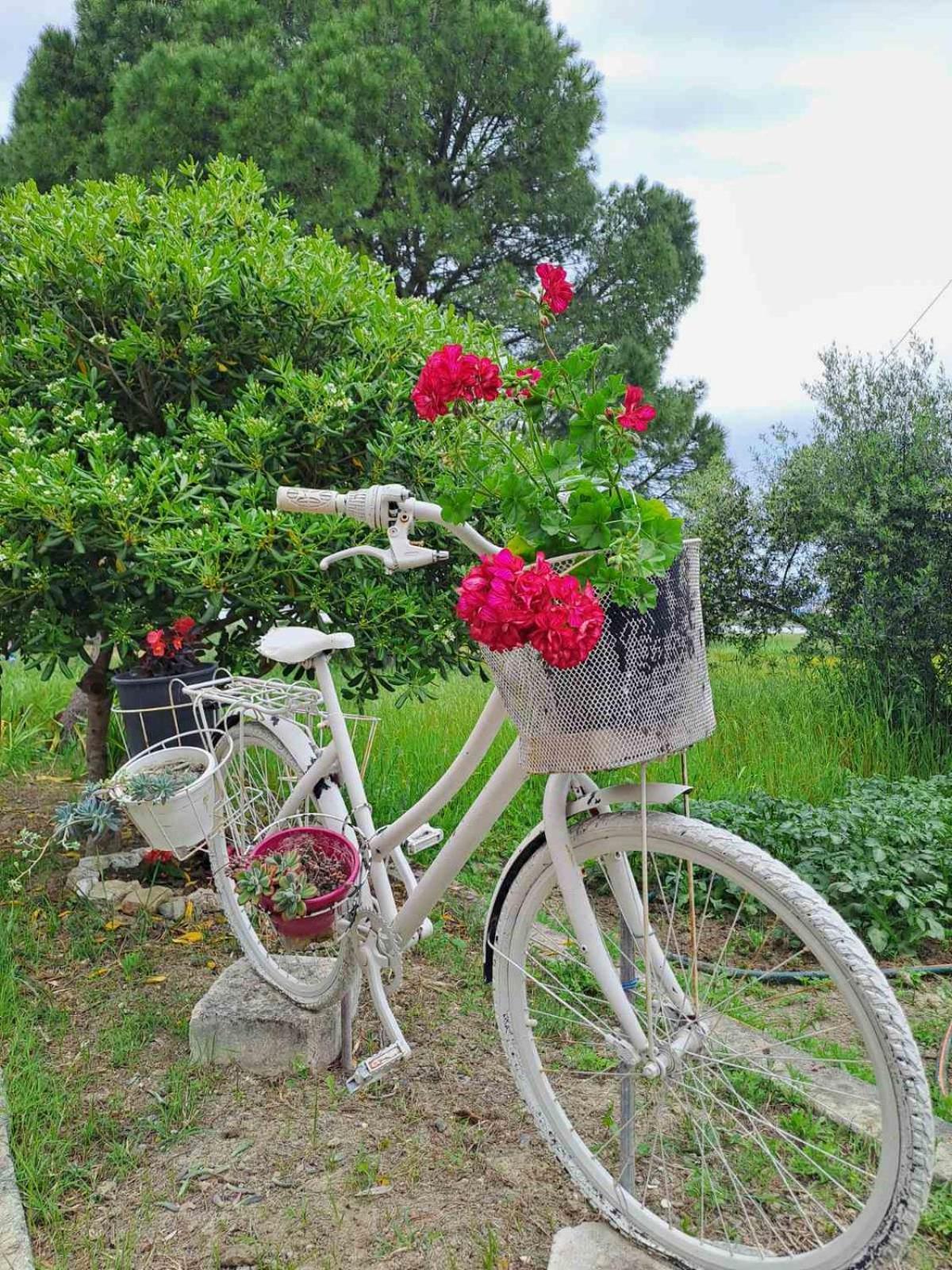 Corfu Lakeside Cottage Kanoni  Exterior photo